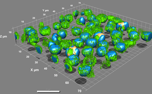 Módulo 3D
